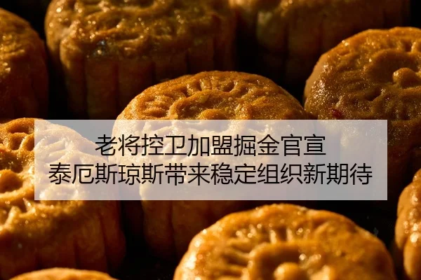 老将控卫加盟掘金官宣 泰厄斯琼斯带来稳定组织新期待